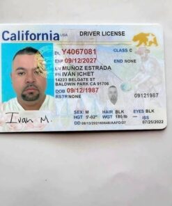 Buy Drivers License Online